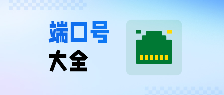 常见的网络端口号有哪些？